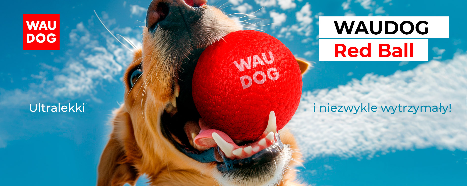 Red Ball
