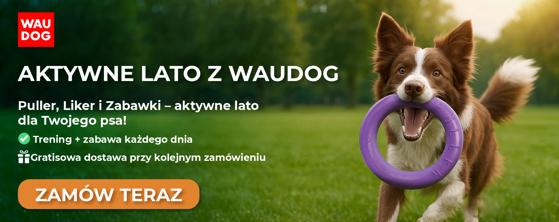 Zabawki