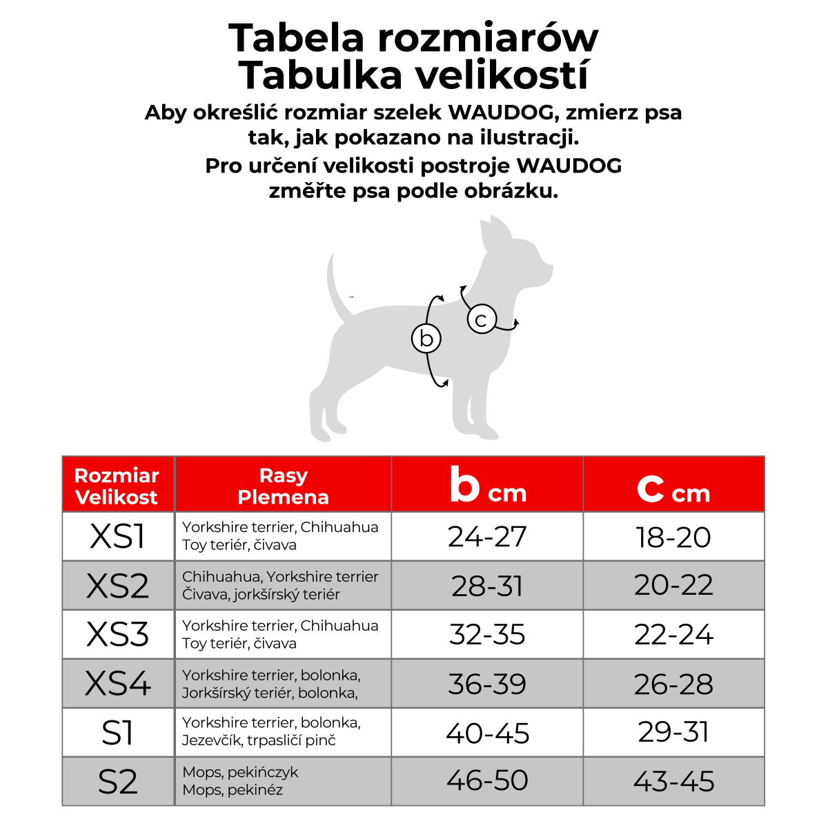 Miękka szelki dla psa WAUDOG Clothes z paszportem QR, odblaskowa Miękka szelki dla psa WAUDOG Clothes z paszportem QR, odblaskowa