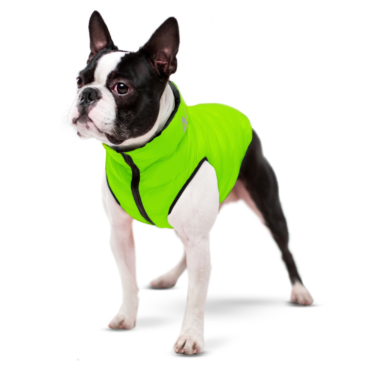 AiryVest kurtka dla psa dwustronna, jasnozielona-czarna
