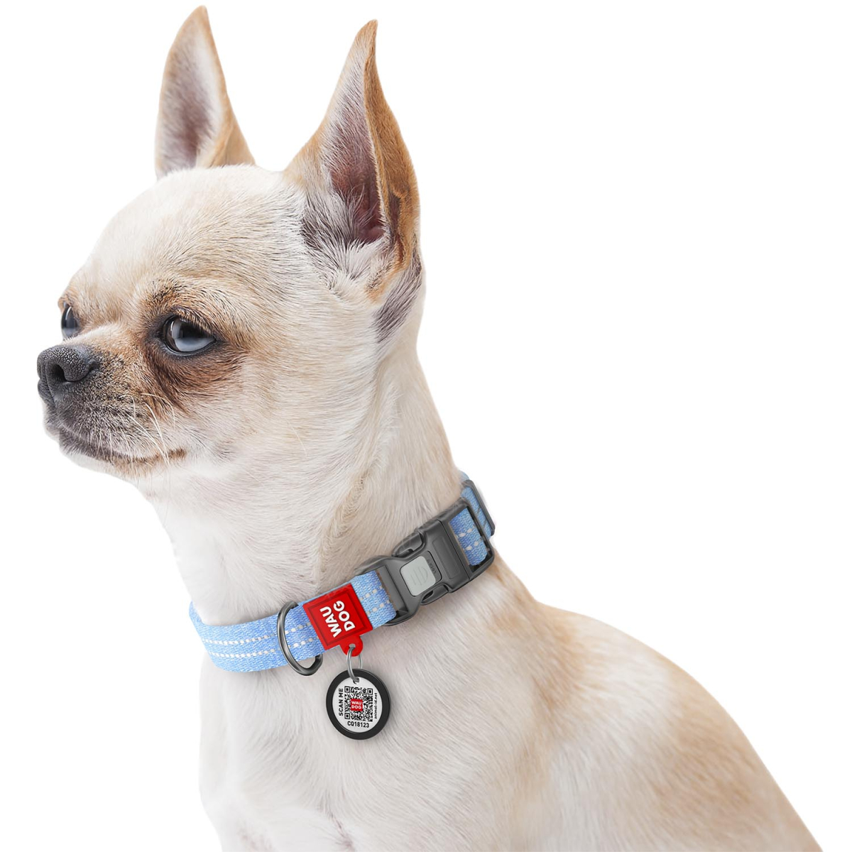 Obroża dla psa WAUDOG Re-cotton z paszportem QR, wykonane z bawełny pochodzącej z recyklingu, plastikowa klamra, niebieska Obroża dla psa WAUDOG Re-cotton z paszportem QR, wykonane z bawełny pochodzącej z recyklingu, plastikowa klamra, niebieska