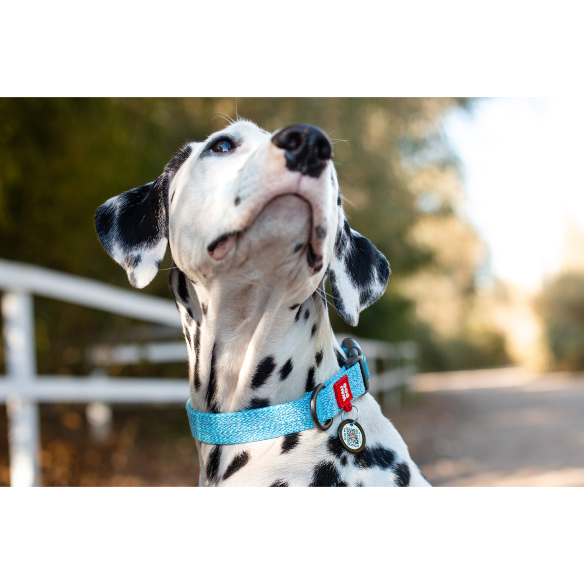 Obroża dla psa WAUDOG Re-cotton z paszportem QR, wykonane z bawełny pochodzącej z recyklingu, plastikowa klamra, niebieska Obroża dla psa WAUDOG Re-cotton z paszportem QR, wykonane z bawełny pochodzącej z recyklingu, plastikowa klamra, niebieska