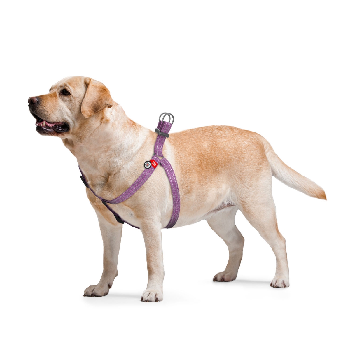 WAUDOG Re-cotton Szelki dla psów z paszportem QR, wykonane z bawełny, pochodzącej z recyklinguklamra z plastiku, fioletowy 