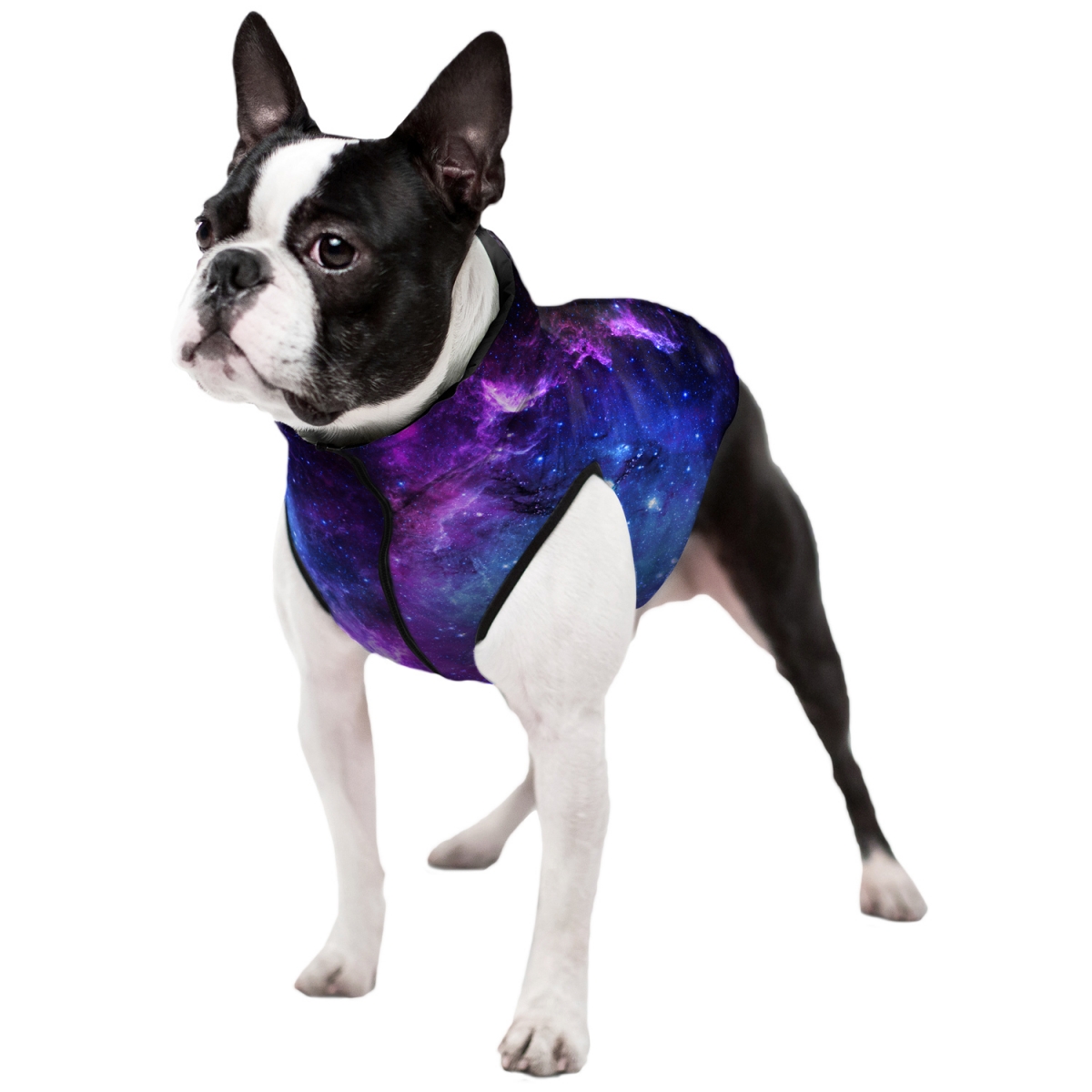 Kurtka dla psów WAUDOG Clothes, rysunek "NASA21"