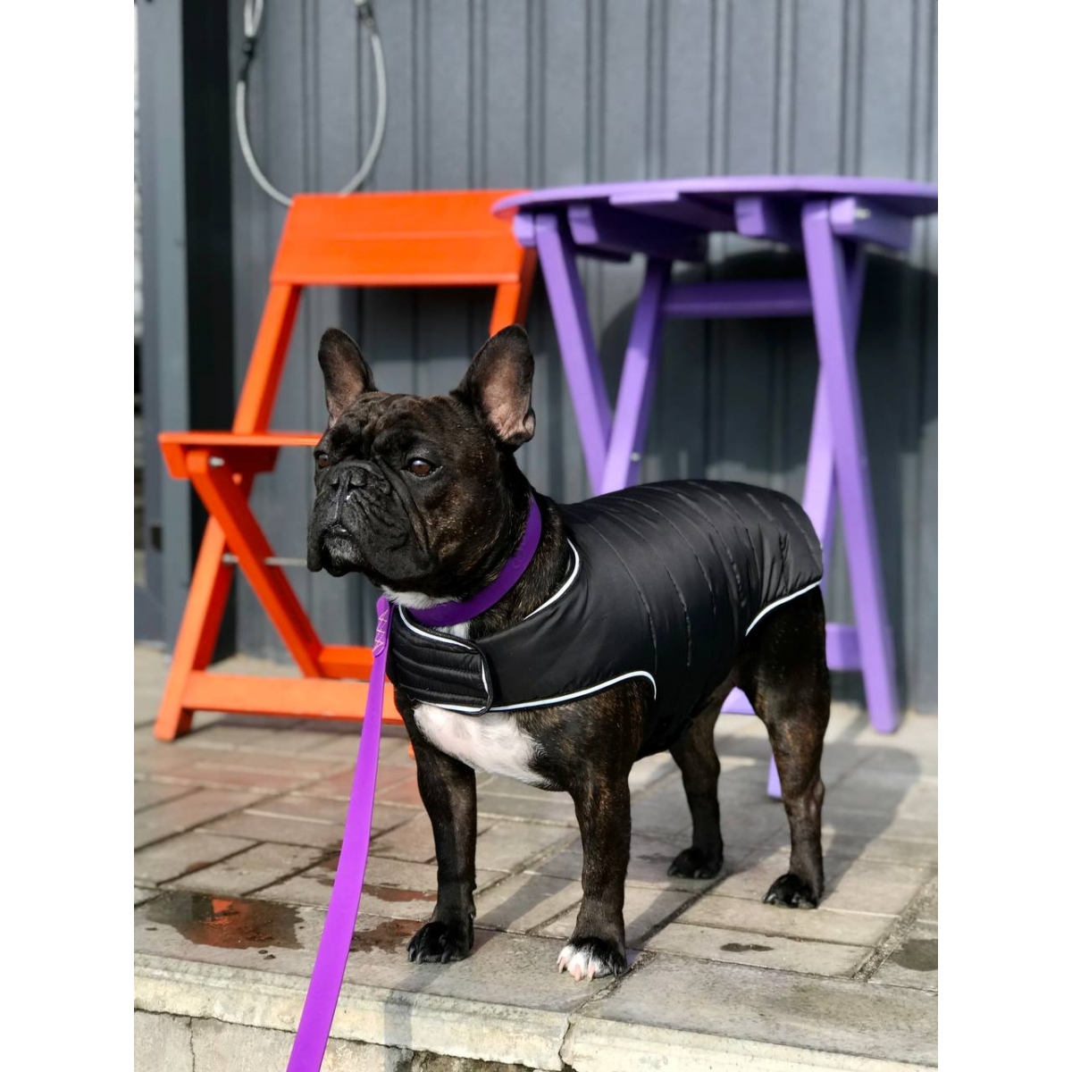 AiryVest kurtka peleryna dla psa czarna