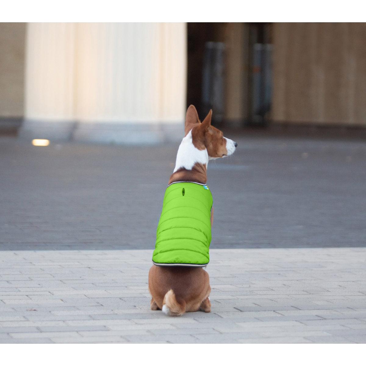 AiryVest kurtka peleryna dla psa jasnozielona