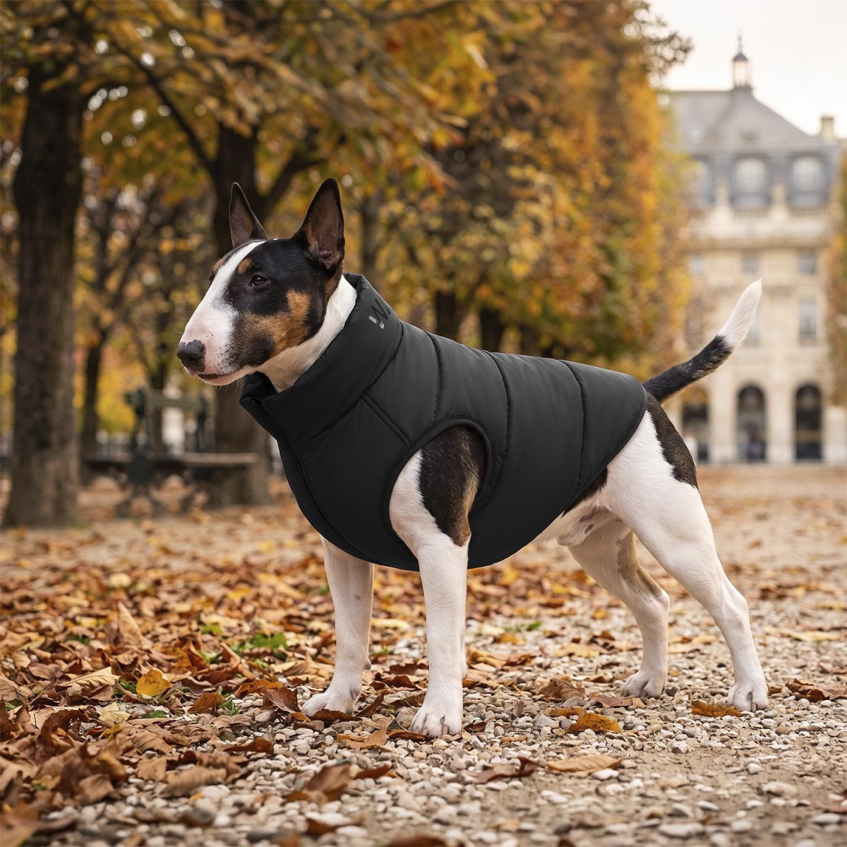 Kurtka dla psa WAUDOG Re-clothes dwustronna, wykonana z poliestru z recyklingu, czarna Kurtka dla psa WAUDOG Re-clothes dwustronna, wykonana z poliestru z recyklingu, czarna