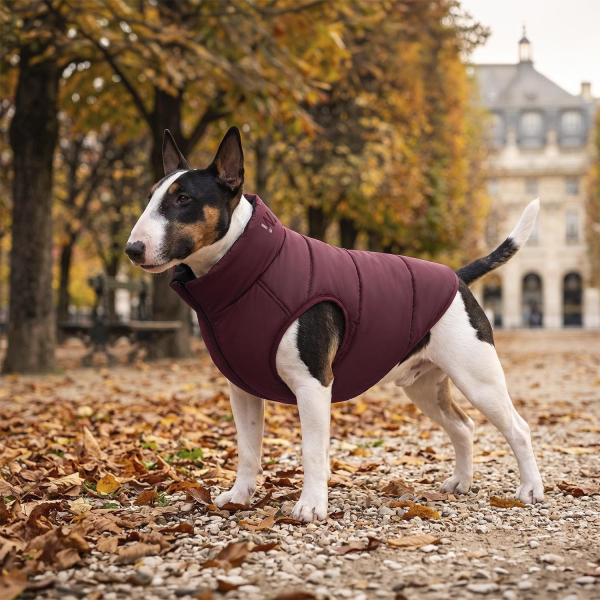 Kurtka dla psa WAUDOG Re-clothes dwustronna, wykonana z poliestru z recyklingu, burgundia Kurtka dla psa WAUDOG Re-clothes dwustronna, wykonana z poliestru z recyklingu, burgundia