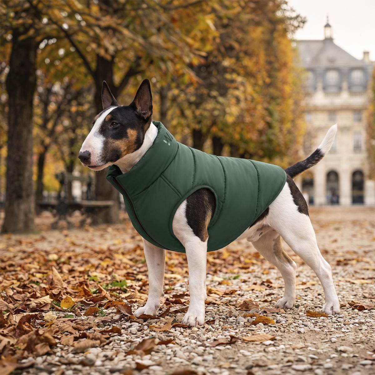 Kurtka dla psa WAUDOG Re-clothes dwustronna, wykonana z poliestru z recyklingu, szmaragdova Kurtka dla psa WAUDOG Re-clothes dwustronna, wykonana z poliestru z recyklingu, szmaragdova