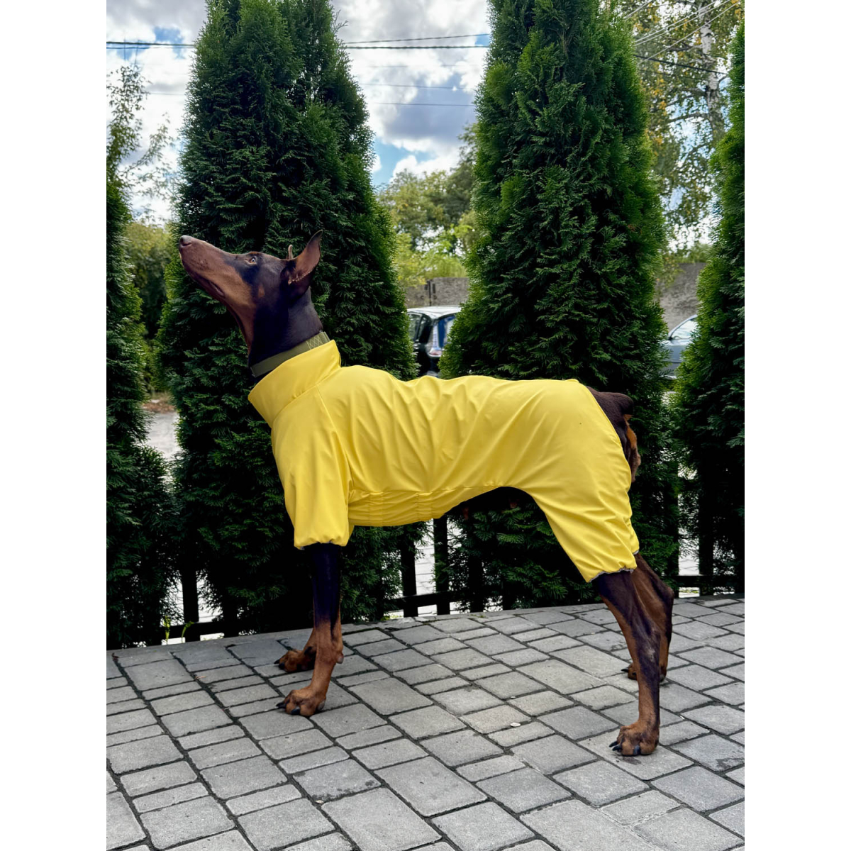 Wodoodporny płaszcz WAUDOG Clothes przeciwdeszczowy dla psów, żółty Wodoodporny płaszcz WAUDOG Clothes przeciwdeszczowy dla psów, żółty