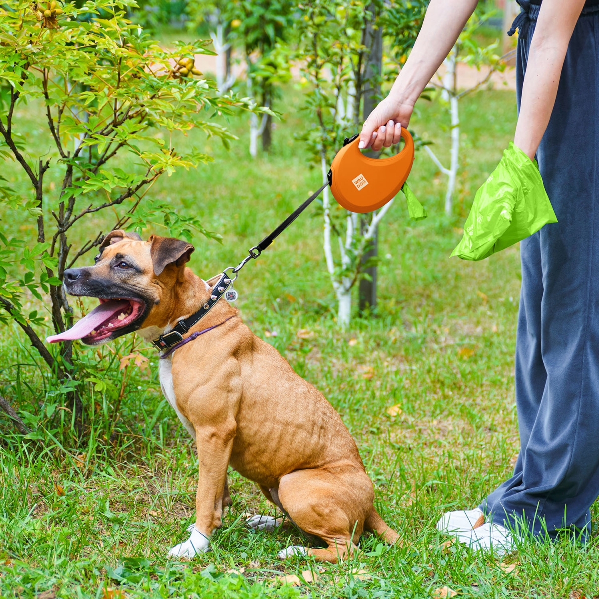 Smycz automatyczna dla psa WAUDOG R-leash z pojemnikiem na worek, taśma odblaskowa, pomarańczowa