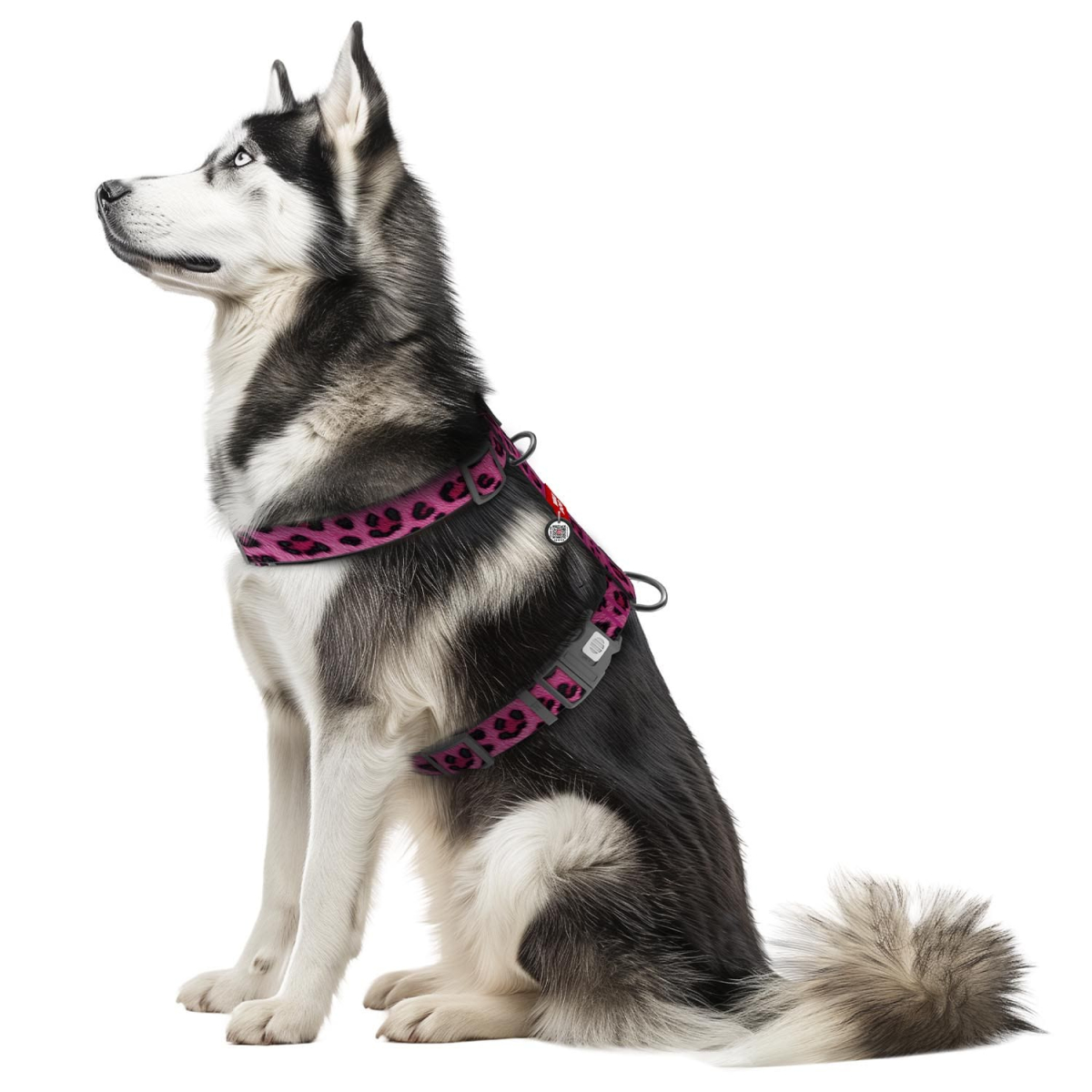 Szelki dla psa anatomiczne WAUDOG Nylon z adresówką QR, wzór "Lampart różowy" Szelki dla psa anatomiczne WAUDOG Nylon z adresówką QR, wzór "Lampart różowy"
