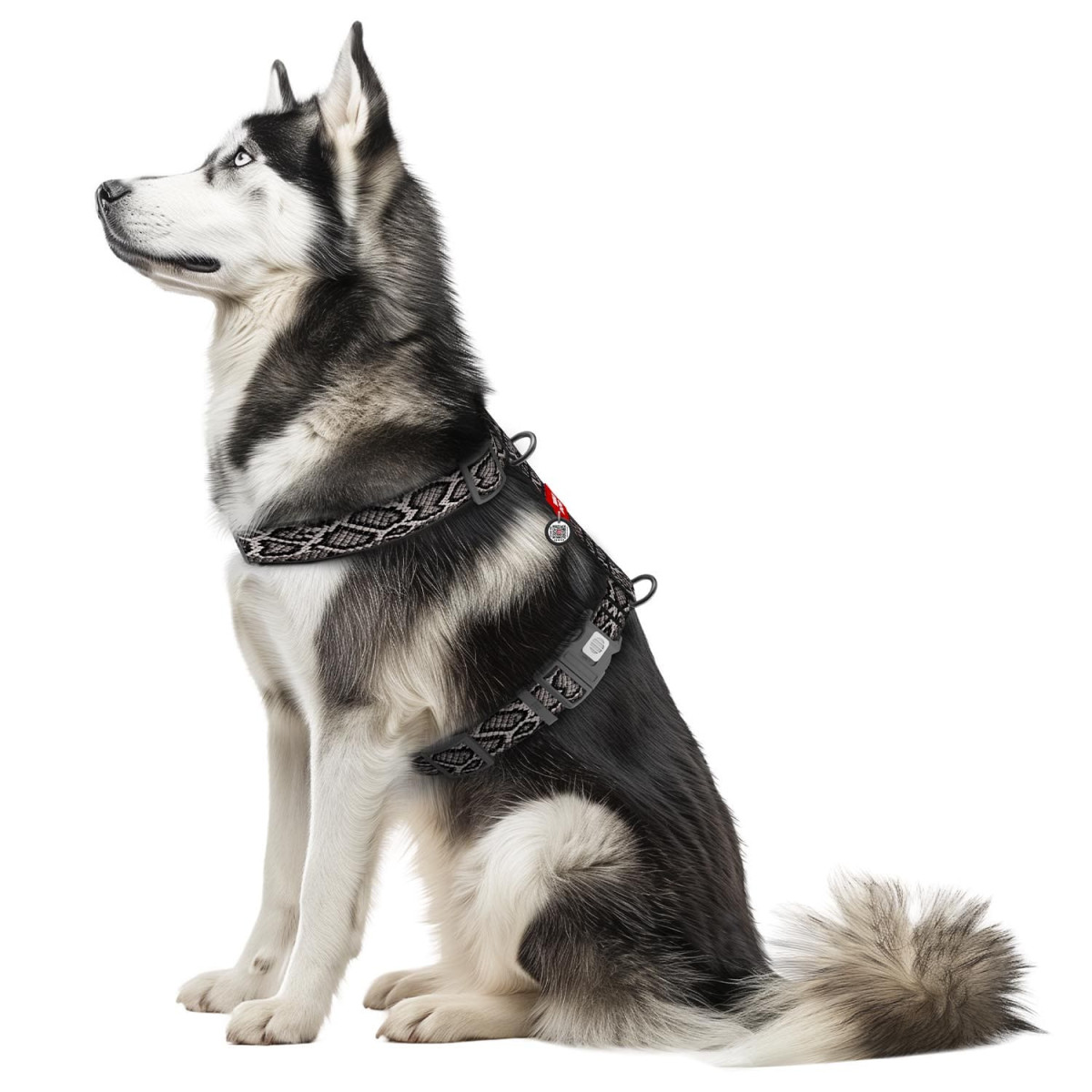 Szelki dla psa anatomiczne WAUDOG Nylon z adresówką QR, wzór "Wąż" Szelki dla psa anatomiczne WAUDOG Nylon z adresówką QR, wzór "Wąż"