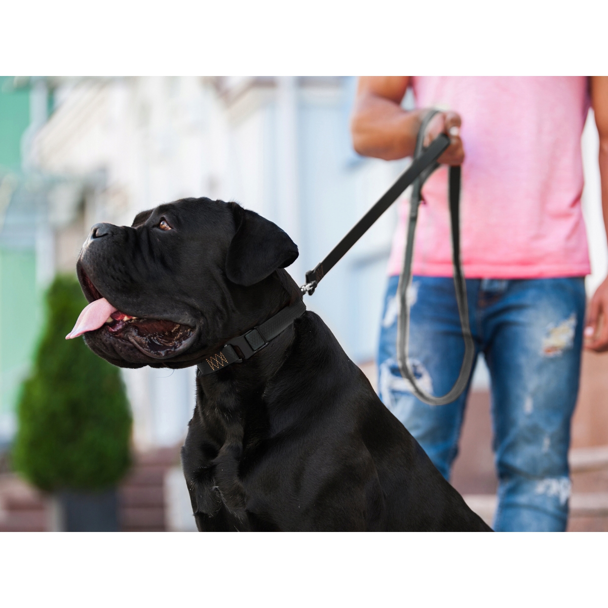 Smycz dla psów COLLAR EVOLUTOR szerokość 25 mm – NAJMOCNIEJSZA SMYCZ, czarna 