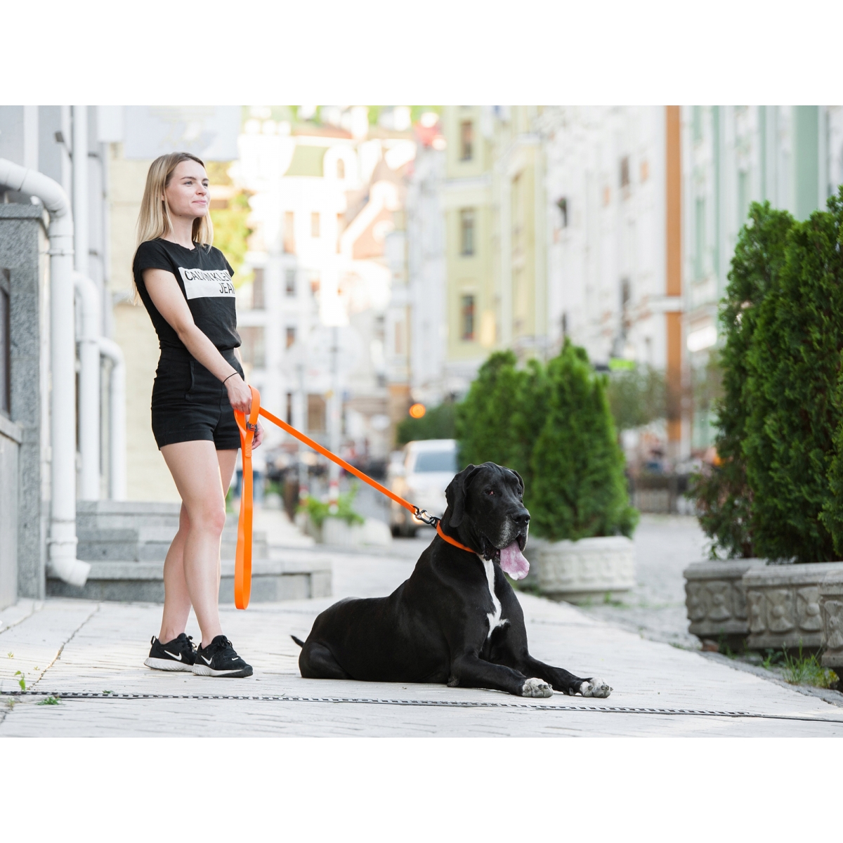 Smycz dla psów COLLAR EVOLUTOR szerokość 25 mm – NAJMOCNIEJSZA SMYCZ, pomarańczowa