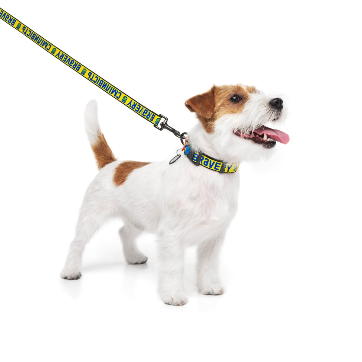 WAUDOG Nylon Obroża dla psów z nylonu z paszportem QR, rysunek "Odwaga"