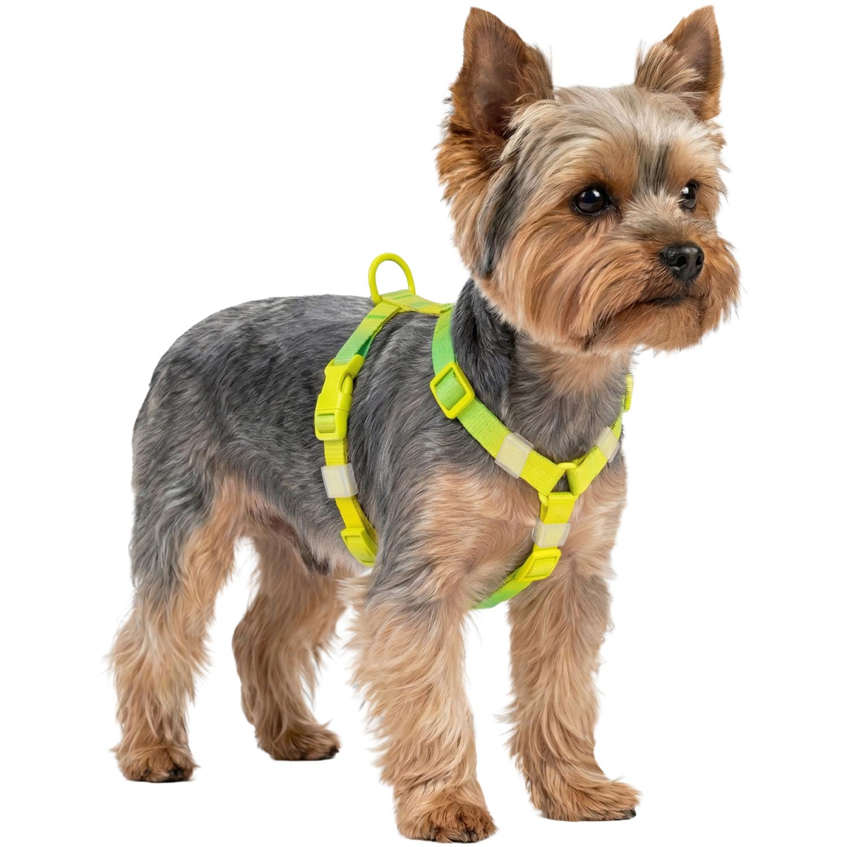 Szelki dla psa anatomiczne WAUDOG Nylon Recycled z QR adresowka, gradient, plastikowy fastex, rozmiar XS, jasnozielony Szelki dla psa anatomiczne WAUDOG Nylon Recycled z QR adresowka, gradient, plastikowy fastex, rozmiar XS, jasnozielony