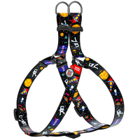 Szelki dla psa WAUDOG Nylon z paszportem QR, rysunek "NASA" 