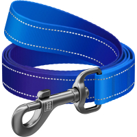 Smycz dla psa nylonowa WAUDOG Nylon Mono odblaskowa, niebieska