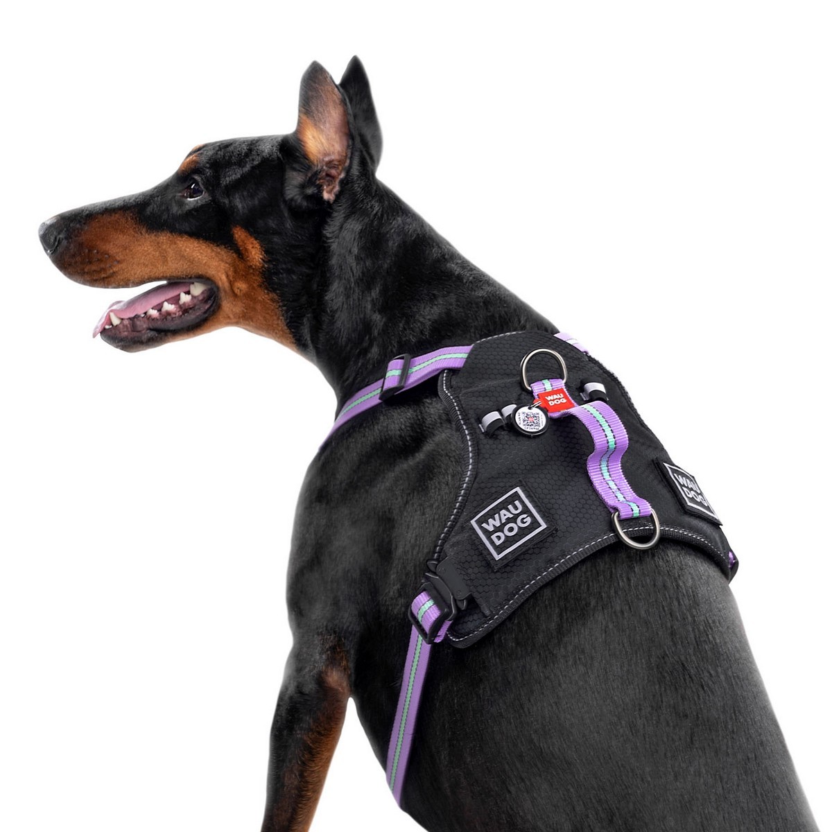 Szelki dla psa WAUDOG Nylon z paszportem QR, bezpieczne, metalowa fastex, fioletowa