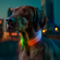Obroża dla psa z podświetleniem WAUDOG LED, RGB, Type-C, regulowana