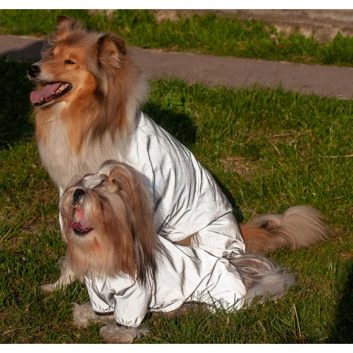 WAUDOG Clothes wiatrówka dla psów, odblaskowa