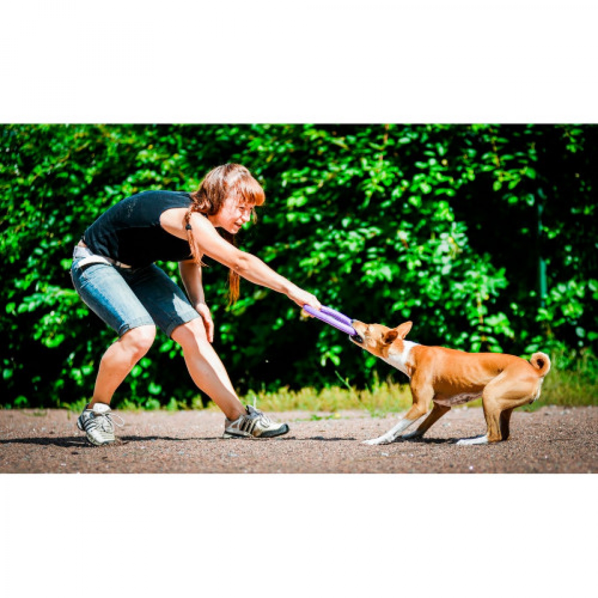 PULLER midi Ø20 см - atrybut treningowy dla średnich i małych ras psów