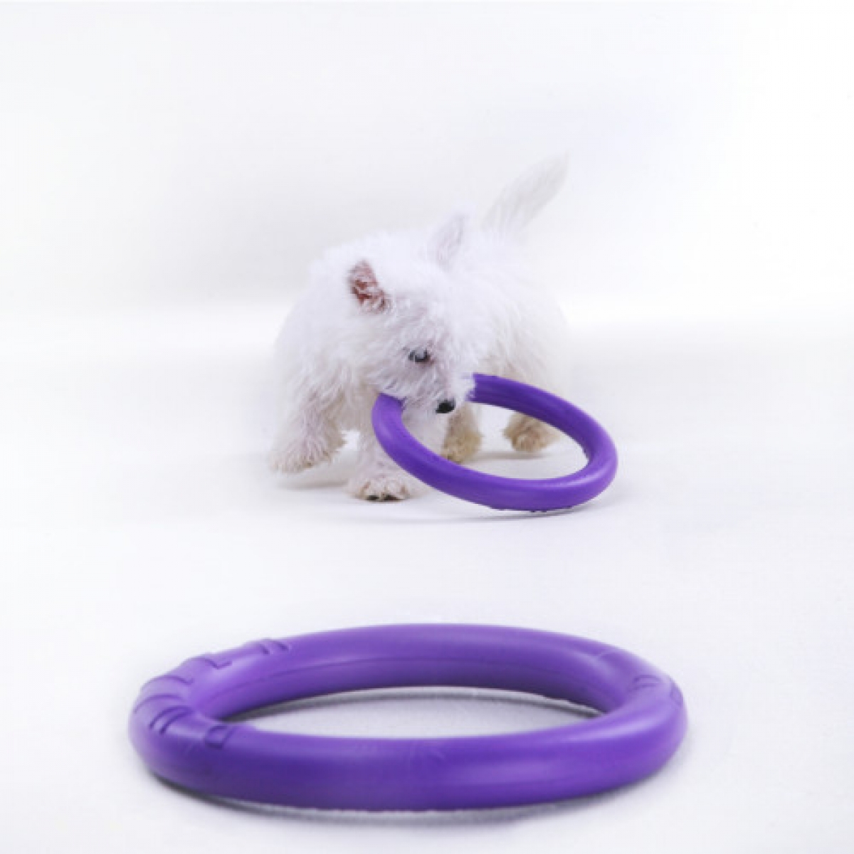 PULLER micro  Ø12,5 cm – atrybut treningowy dla małych ras psów