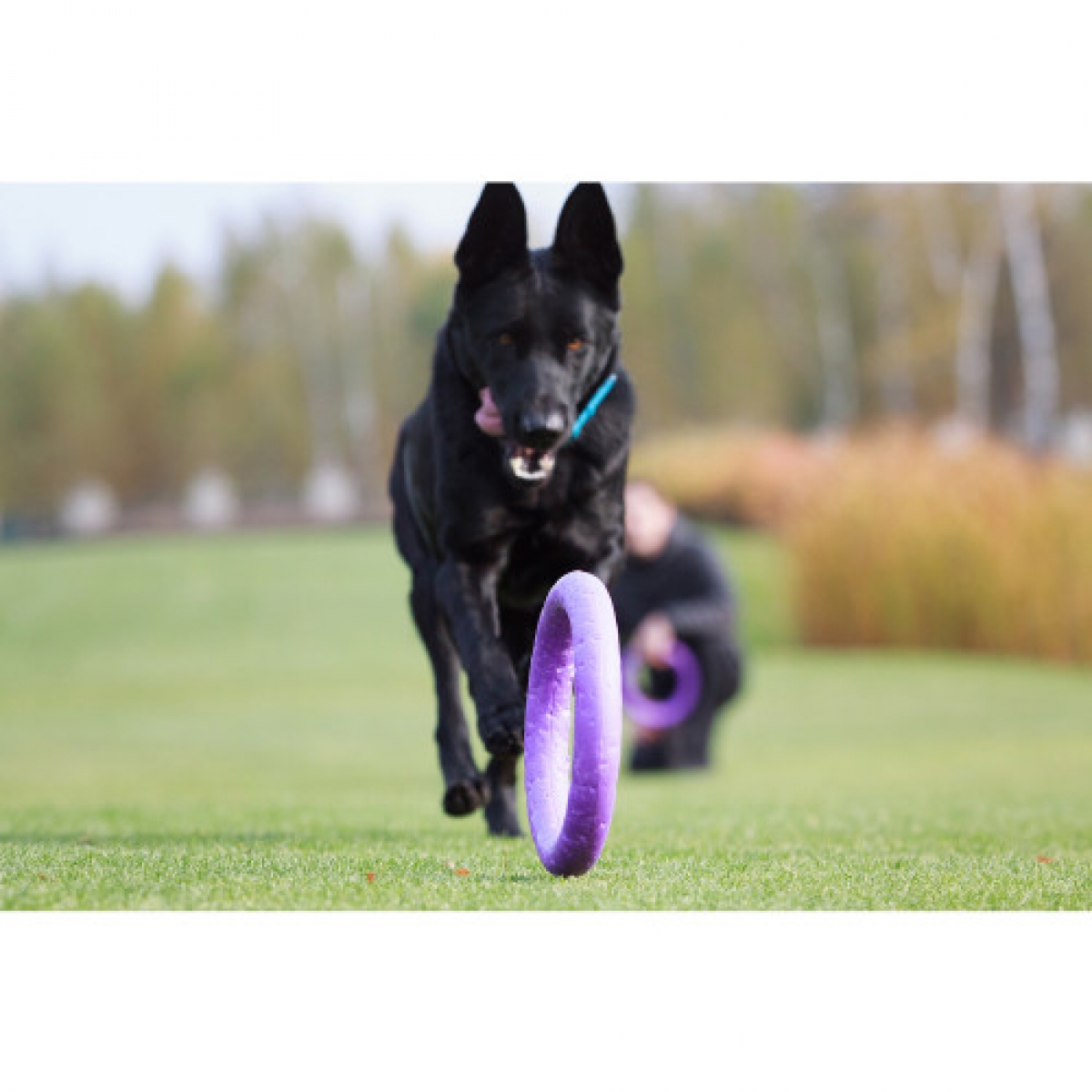 PULLER Standard  Ø28 cm - atrybut treningowy dla średnich i dużych ras psów