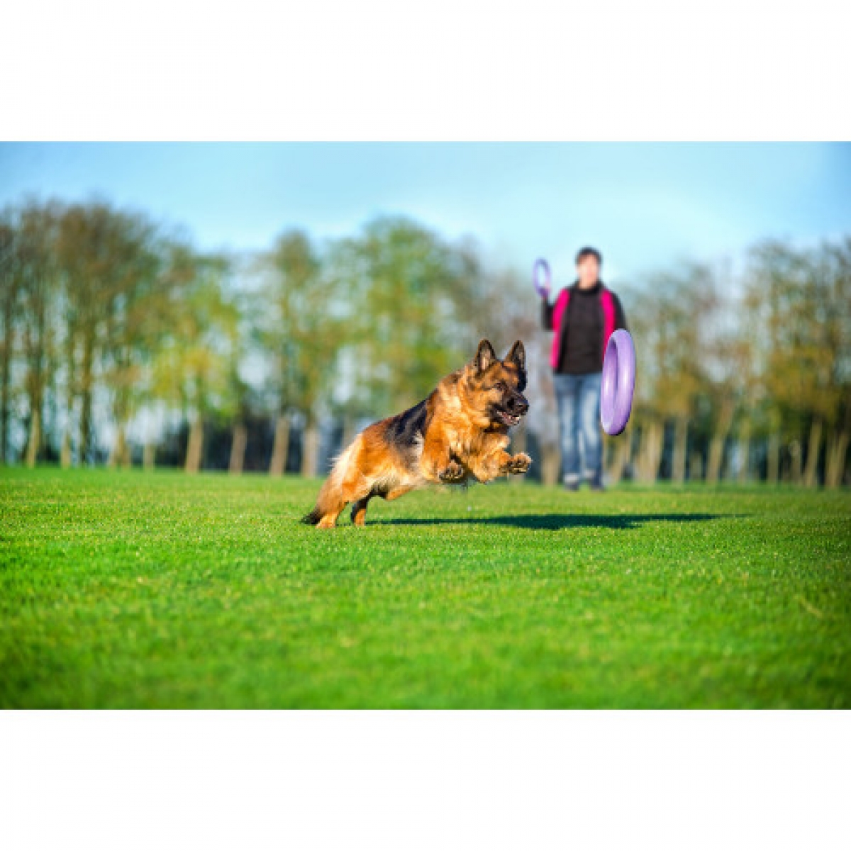 PULLER Standard  Ø28 cm - atrybut treningowy dla średnich i dużych ras psów