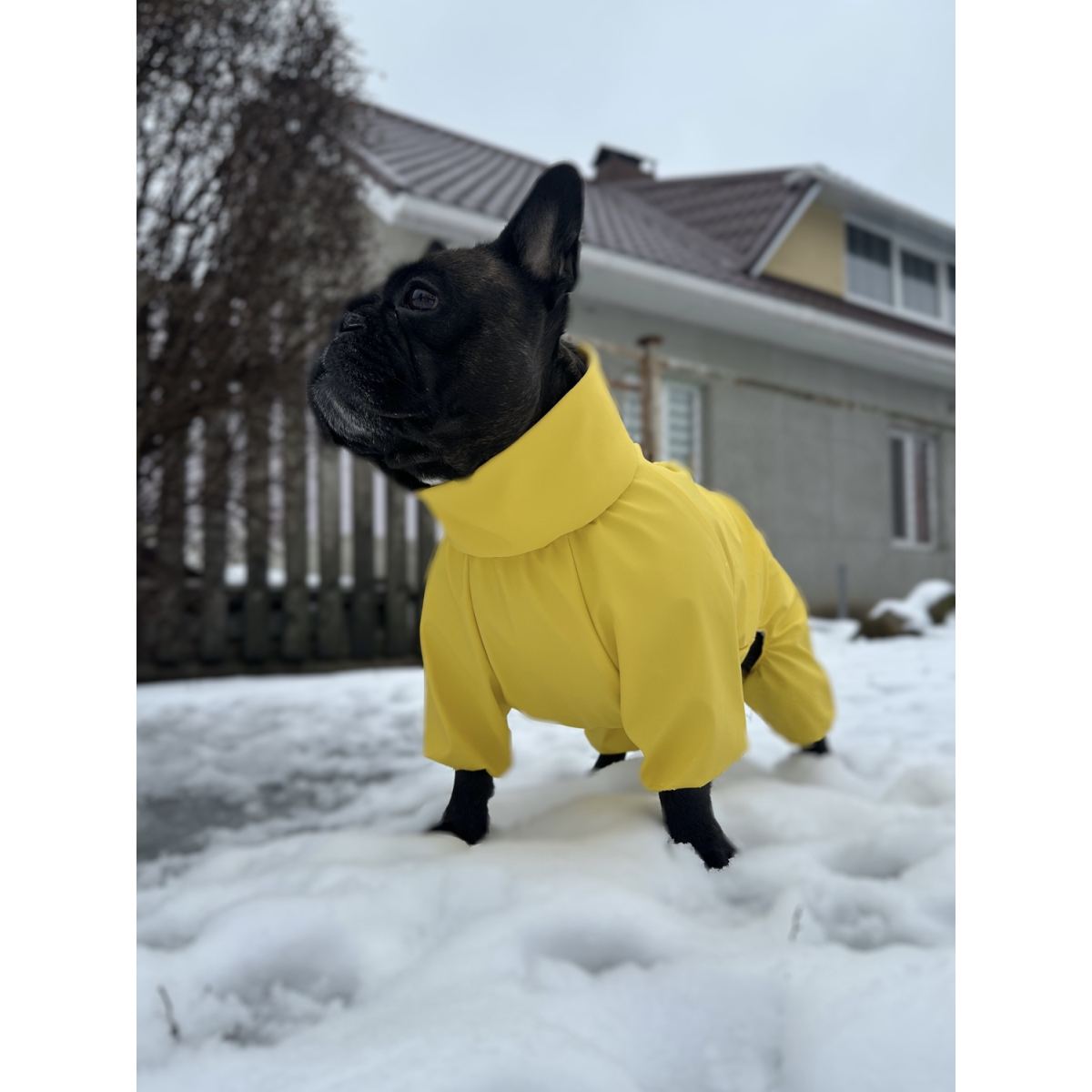 Wodoodporny płaszcz WAUDOG Clothes przeciwdeszczowy dla psów, żółty Wodoodporny płaszcz WAUDOG Clothes przeciwdeszczowy dla psów, żółty
