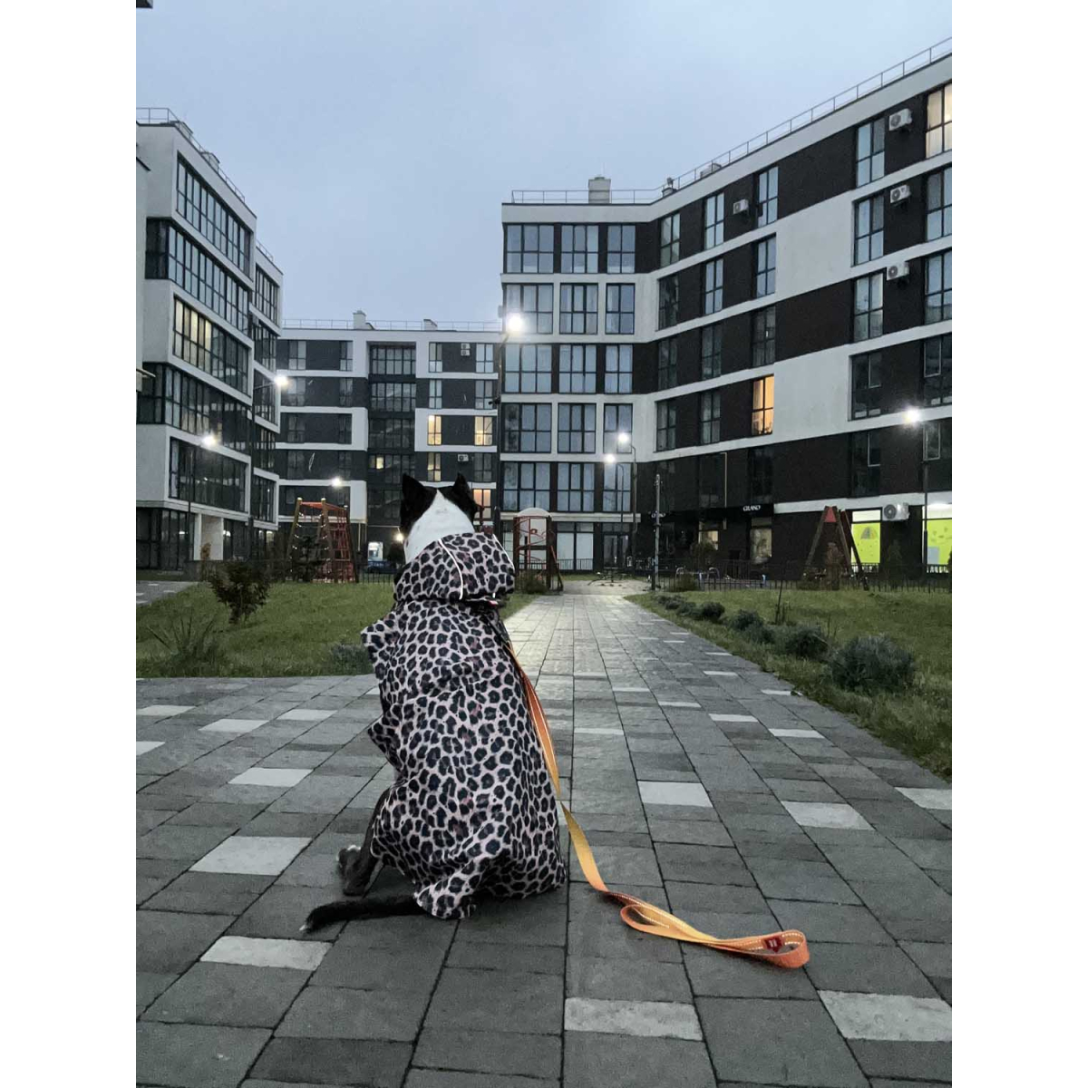 Płaszcz przeciwdeszczowy z kapturem dla psa WAUDOG Clothes, rysunek "Lampart" Płaszcz przeciwdeszczowy z kapturem dla psa WAUDOG Clothes, rysunek "Lampart"