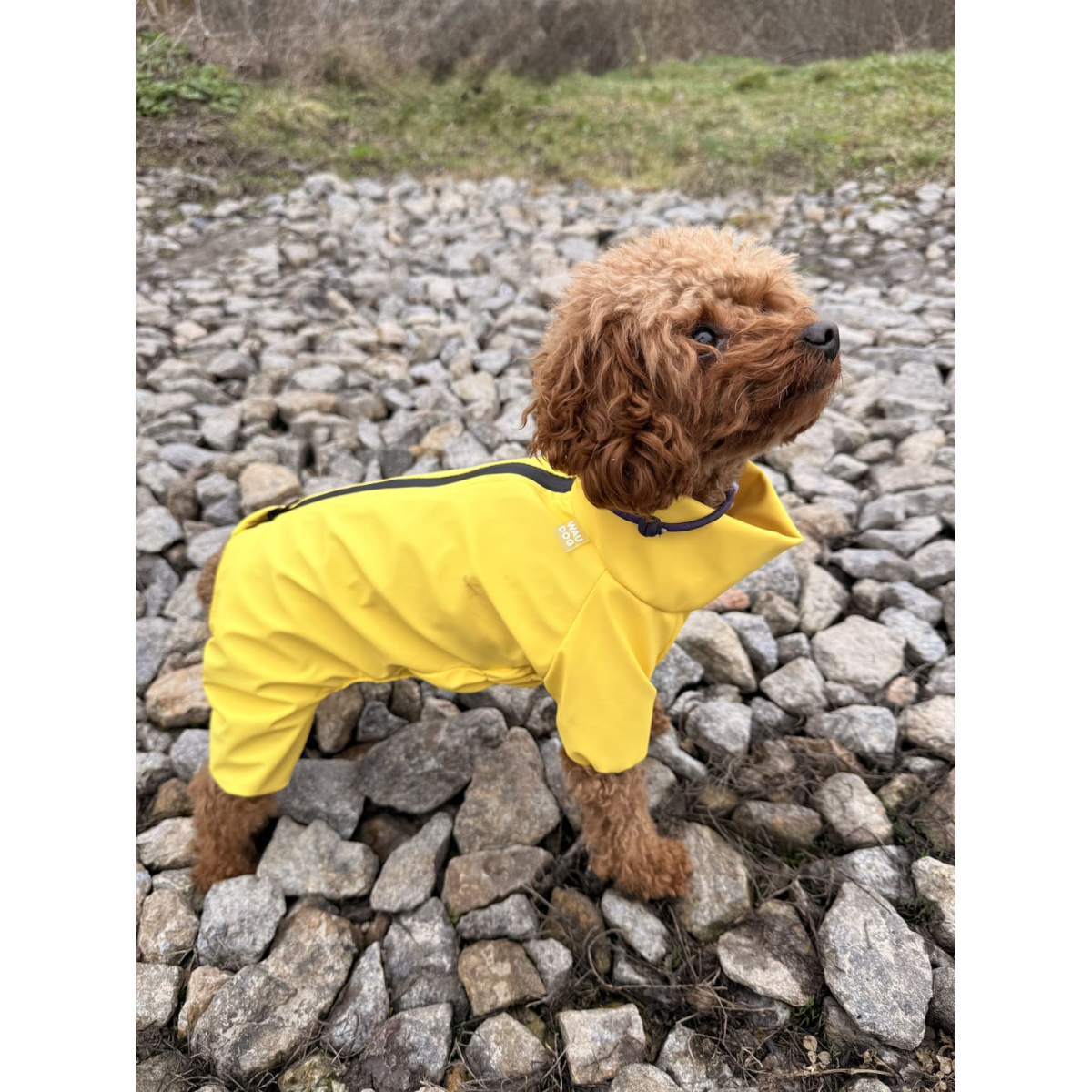 Wodoodporny płaszcz WAUDOG Clothes przeciwdeszczowy dla psów, żółty Wodoodporny płaszcz WAUDOG Clothes przeciwdeszczowy dla psów, żółty