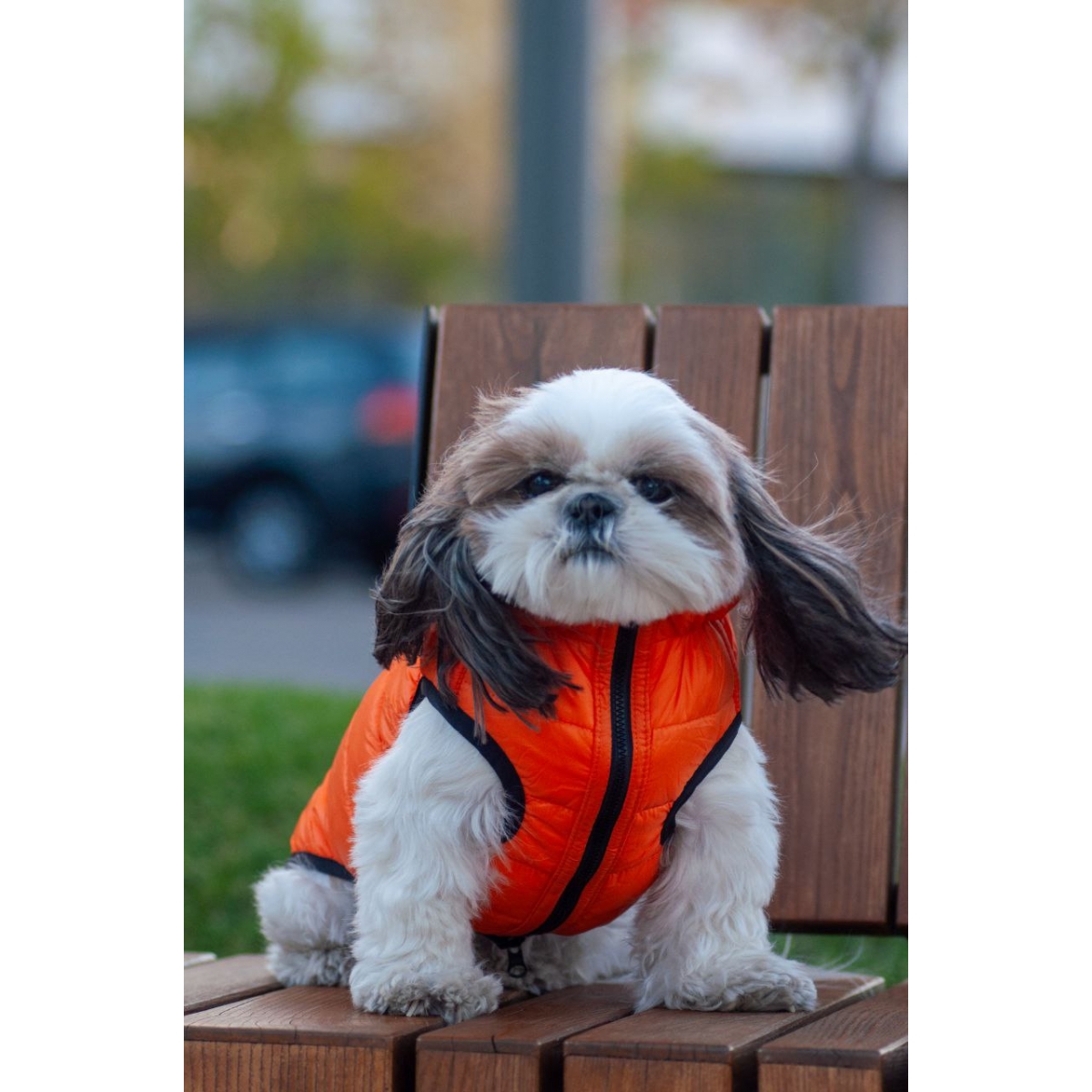 AiryVest Lumi kurtka dla psa dwustronna, świecąca w ciemności, jasnozielona-pomarańczowa 