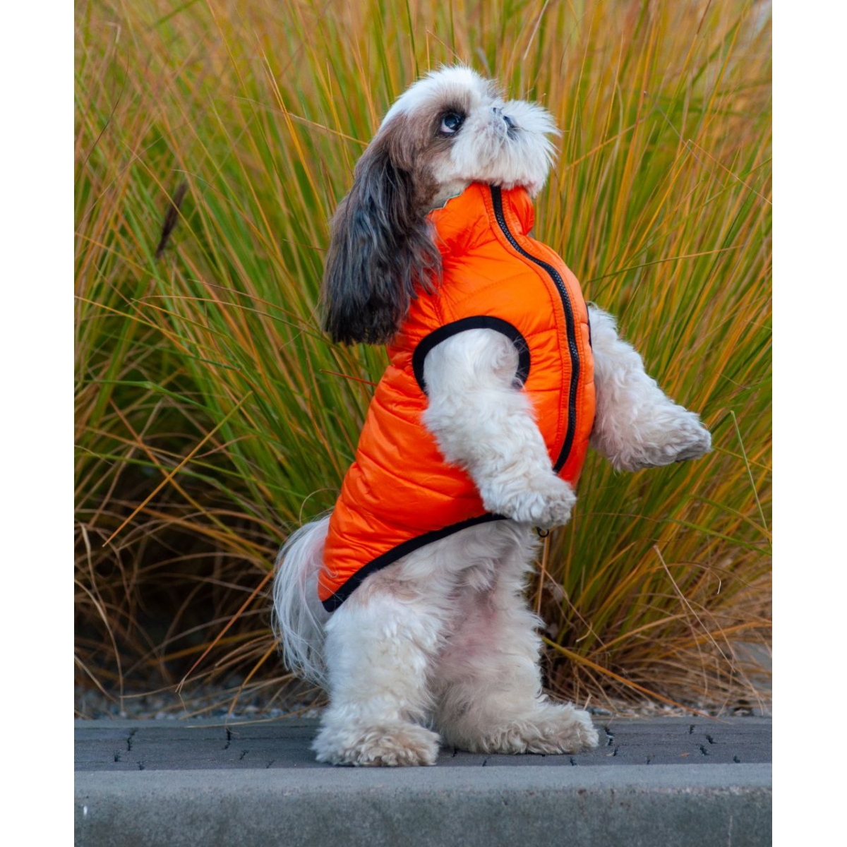 AiryVest Lumi kurtka dla psa dwustronna, świecąca w ciemności, jasnozielona-pomarańczowa 